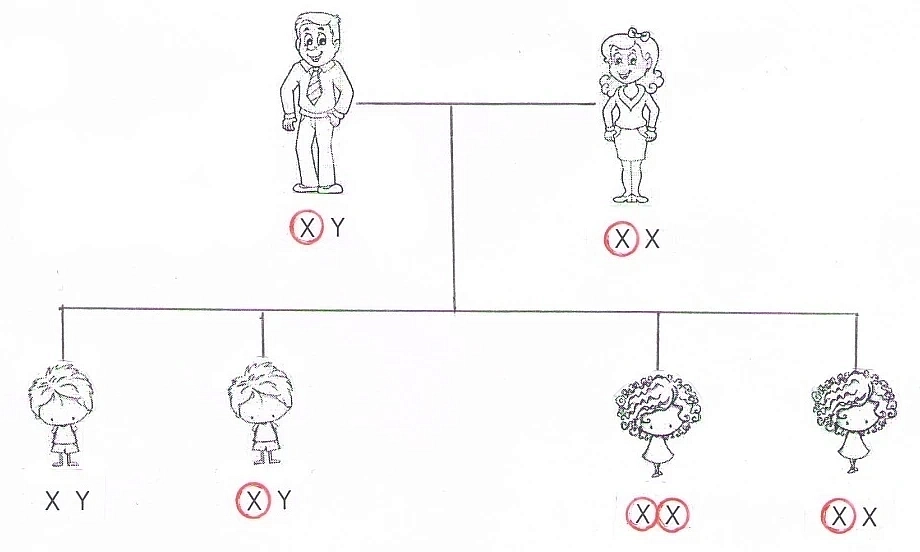 Далтонизъм 3