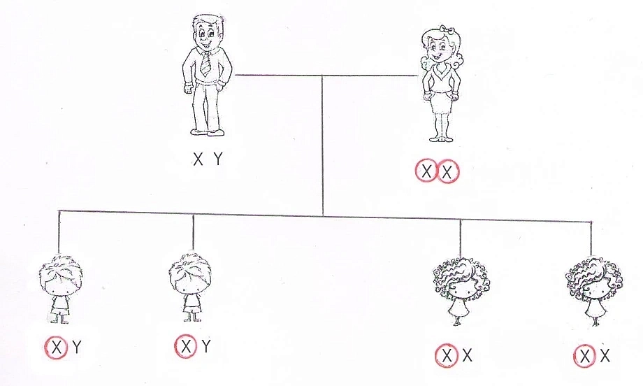 Далтонизъм 4