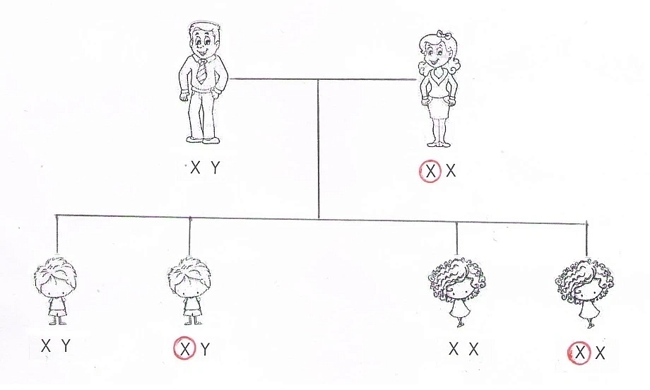 Далтонизъм 2