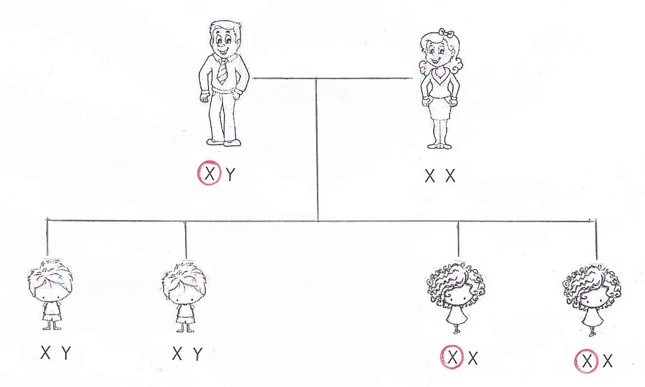 Далтонизъм 1