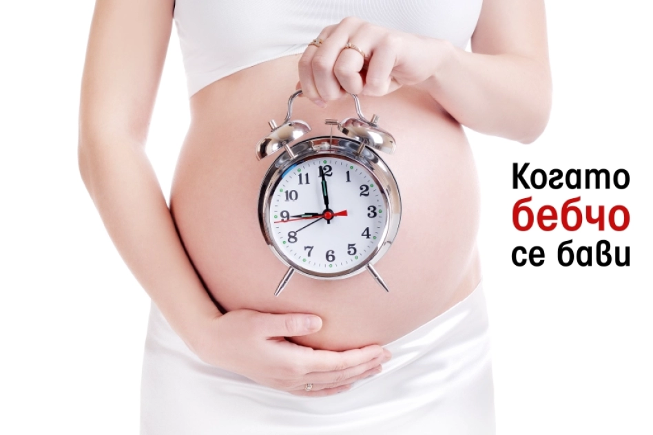 Когато бебчо се бави - Кенгуру
